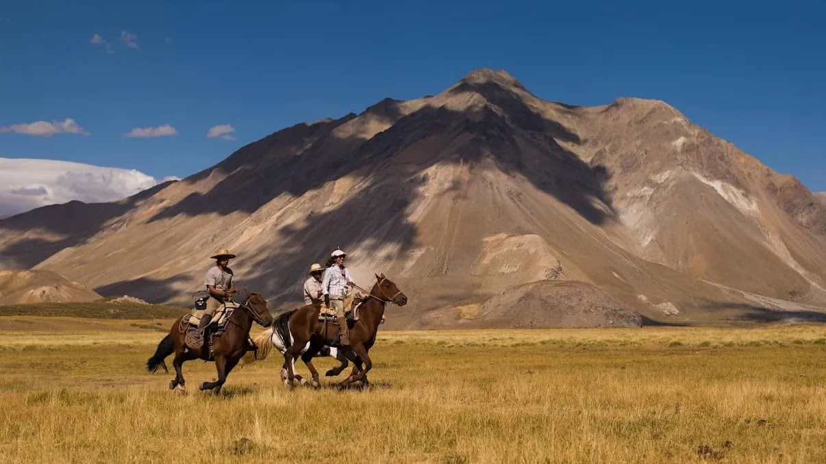 CABALGATA EXPERTOS